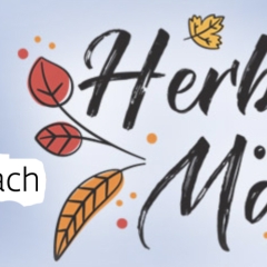 --------------------------------------------------------1-IMGherbstfaest2023