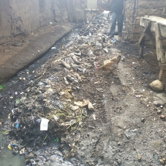 ------1 IMG 20191001 091843 7-